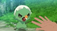 Capsakid initially refused Roy's help in Pokemon Horizons Episode 52 (Image via The Pokemon Company)
